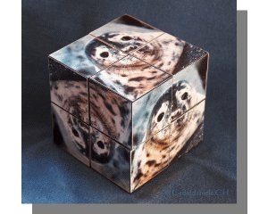 Crazy Swiss Cube rot-weiss